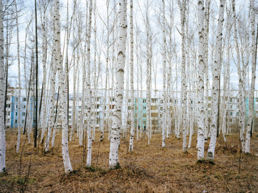 New Landscapes