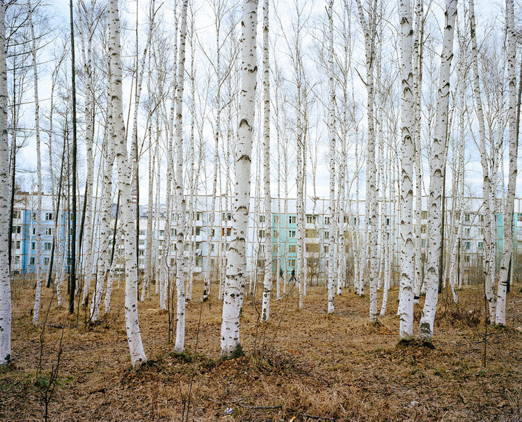 newlandscapes