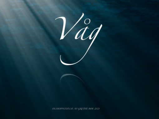 VÅG – en filmopplevelse av Grethe Bøe