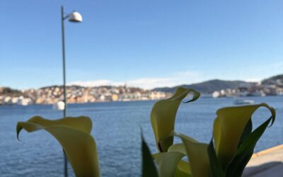 Early bird og god påske!